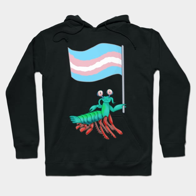 Mantis Shrimp Transgender Pride! Hoodie by Quirkball